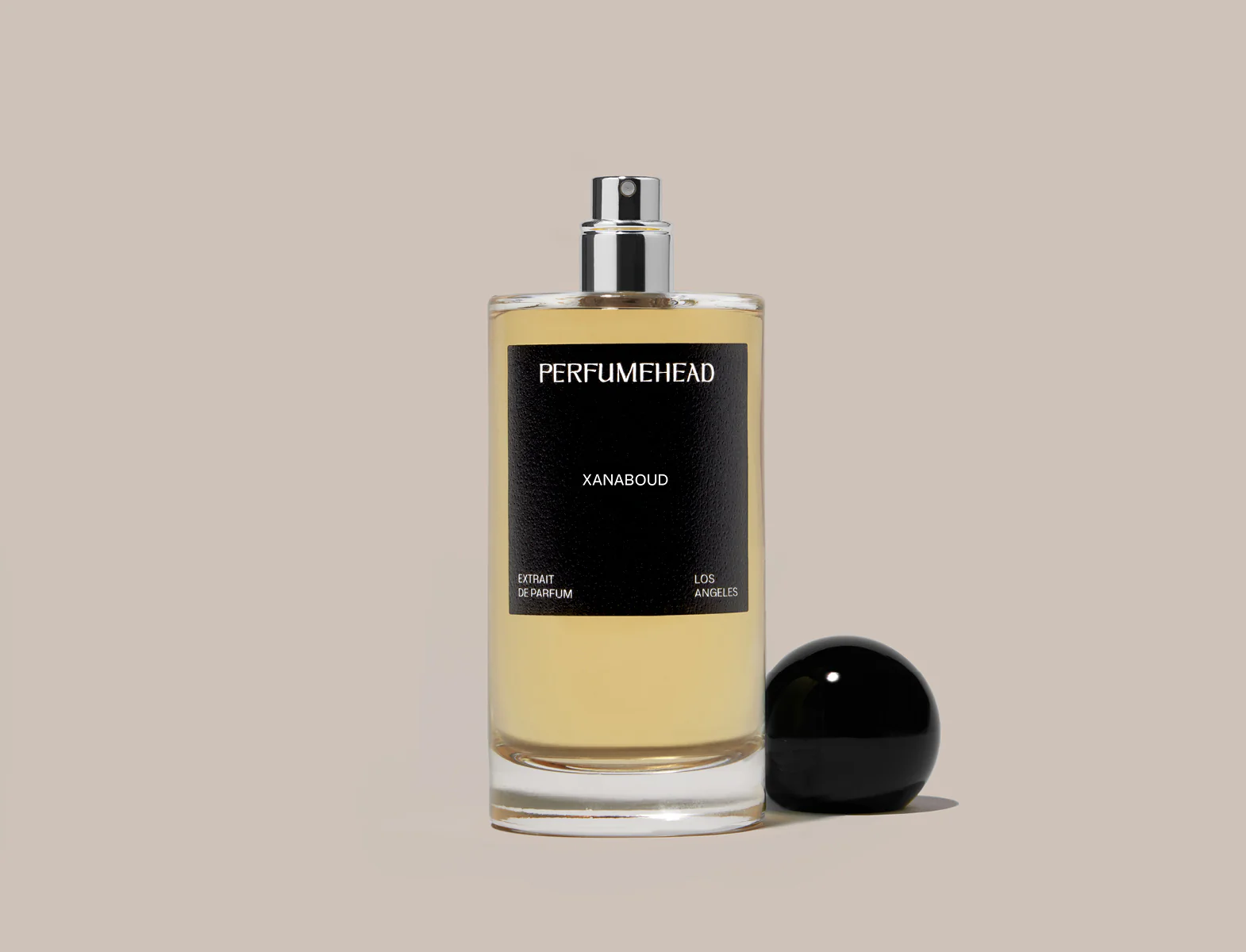 XANABOUD - Image 10