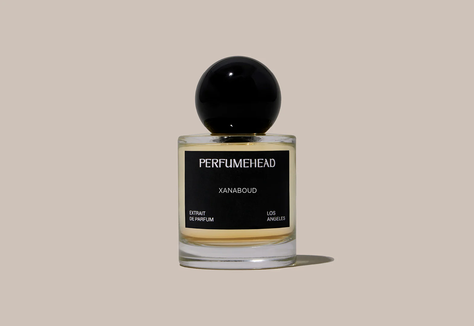XANABOUD - Image 5