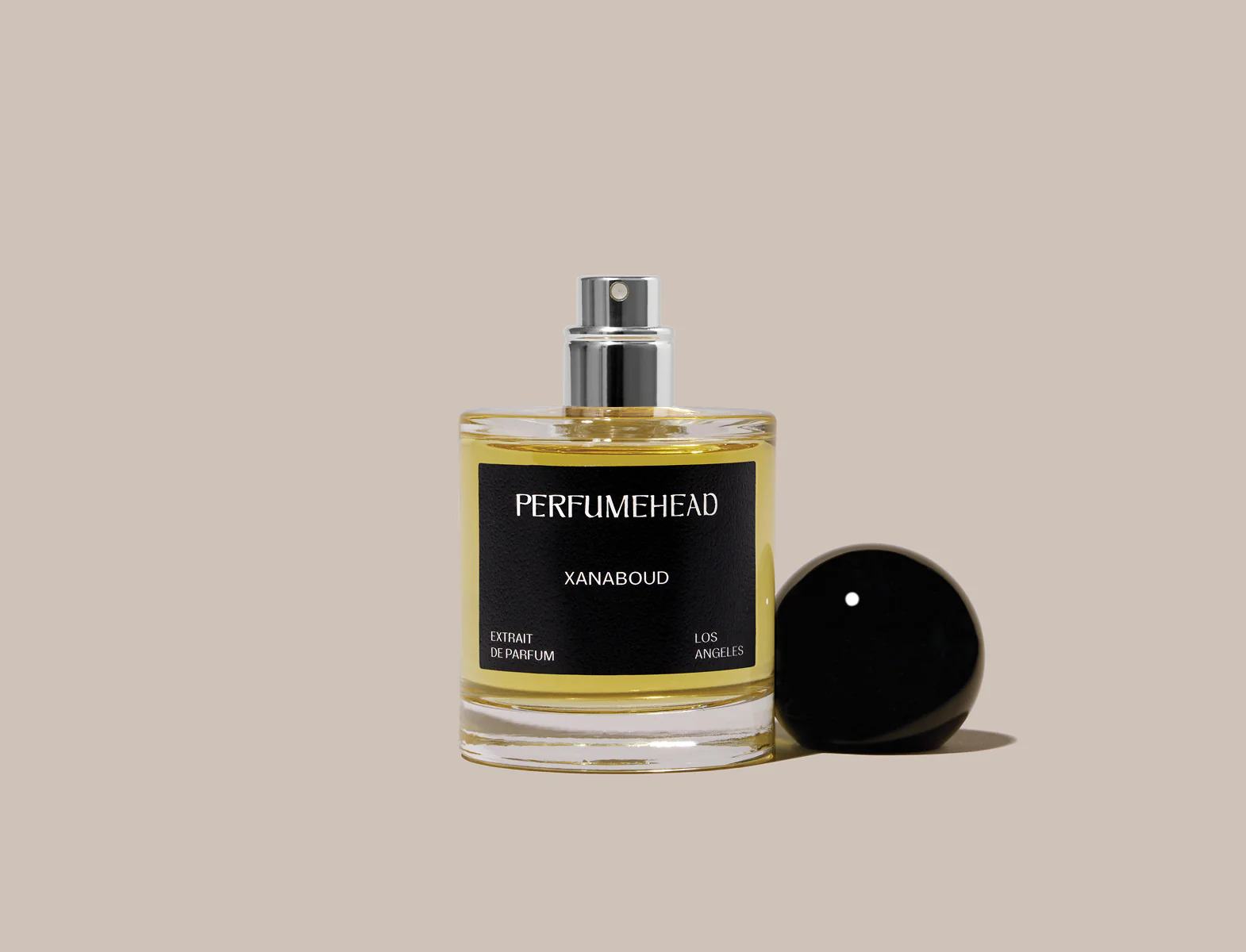 XANABOUD - Image 6